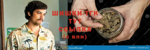 дмт Горняк