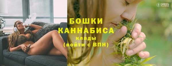 молекула духа Гусиноозёрск