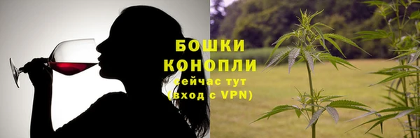 дмт Горняк